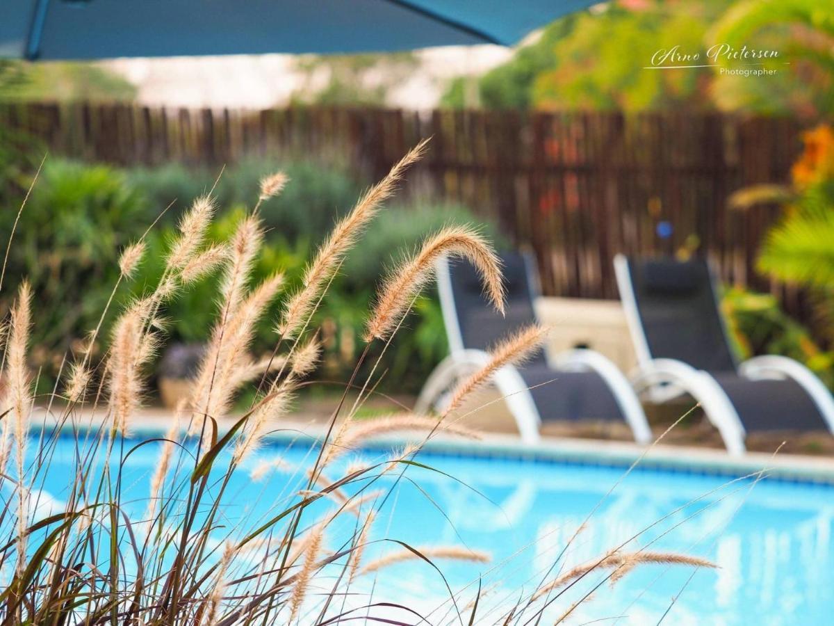Fever Tree Guesthouse هيلكريست المظهر الخارجي الصورة