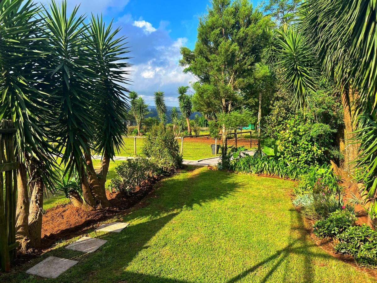 Fever Tree Guesthouse هيلكريست المظهر الخارجي الصورة